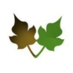 cropped-logo.jpg