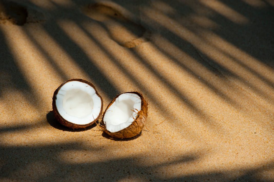 opened coconut on sands