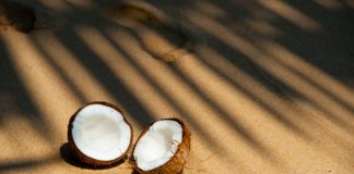 Go Nuts about Coconuts – Learn More about This Amazing Plant opened coconut on sands