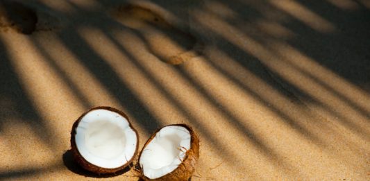 Go Nuts about Coconuts – Learn More about This Amazing Plant opened coconut on sands