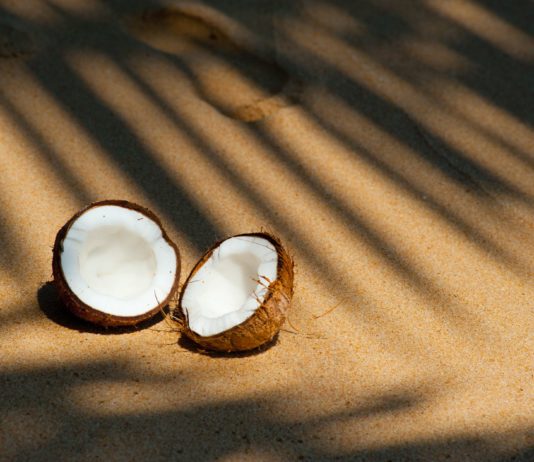 Go Nuts about Coconuts – Learn More about This Amazing Plant opened coconut on sands