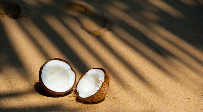Go Nuts about Coconuts – Learn More about This Amazing Plant opened coconut on sands