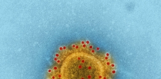 So All This Pandemic Is Really about the Vaccine?