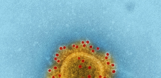 So All This Pandemic Is Really about the Vaccine?