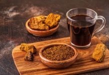 Chaga: The Therapeutic Mushroom