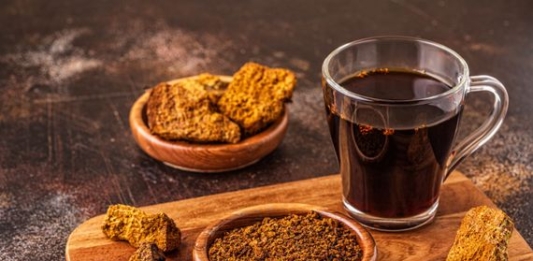 Chaga: The Therapeutic Mushroom