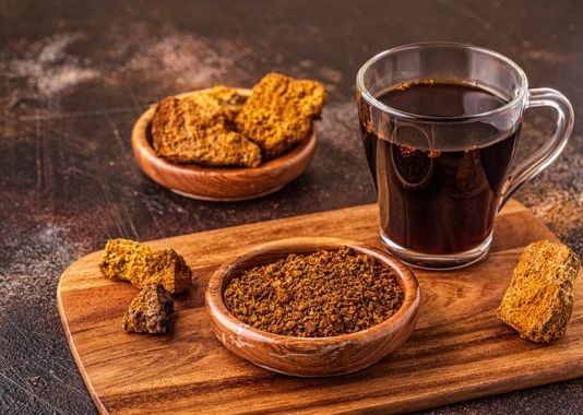Chaga: The Therapeutic Mushroom