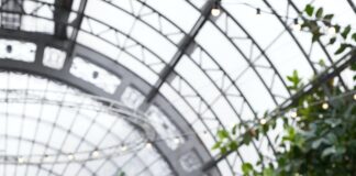 Yoga for Seniors: Adapted Poses and Benefits