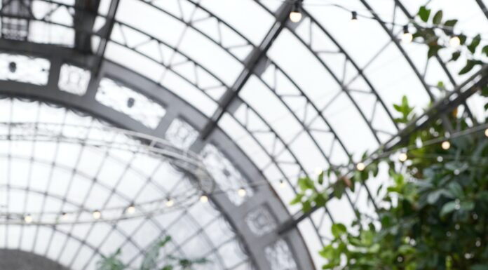 Yoga for Seniors: Adapted Poses and Benefits