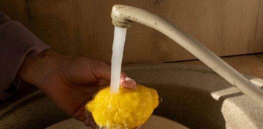 Safeguarding Health: Combatting Pesticide Toxicity with this Natural Solution