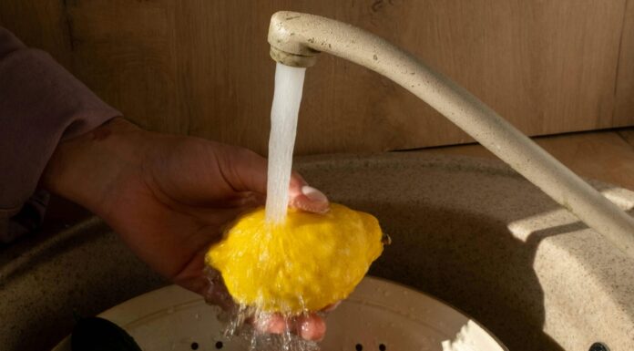 Safeguarding Health: Combatting Pesticide Toxicity with this Natural Solution