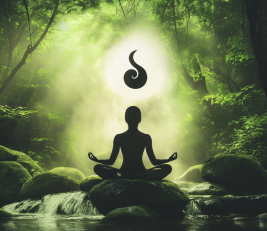 Why Holistic Healing is the Future: How It’s Revolutionizing Modern Healthcare