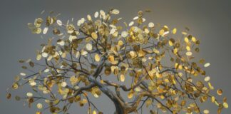 I Drew This Simple Symbol… And My Money Mindset Shifted